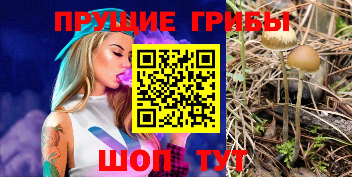 Галлюциногенные грибы Psilocybe Ивантеевка